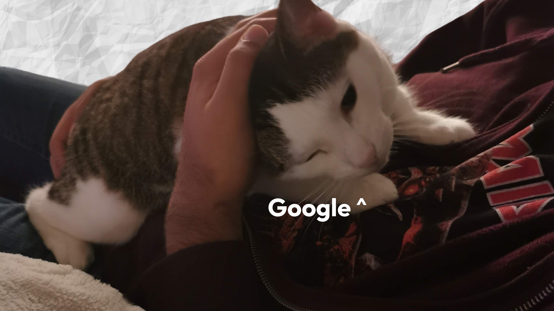 Google Loves the Human Touch